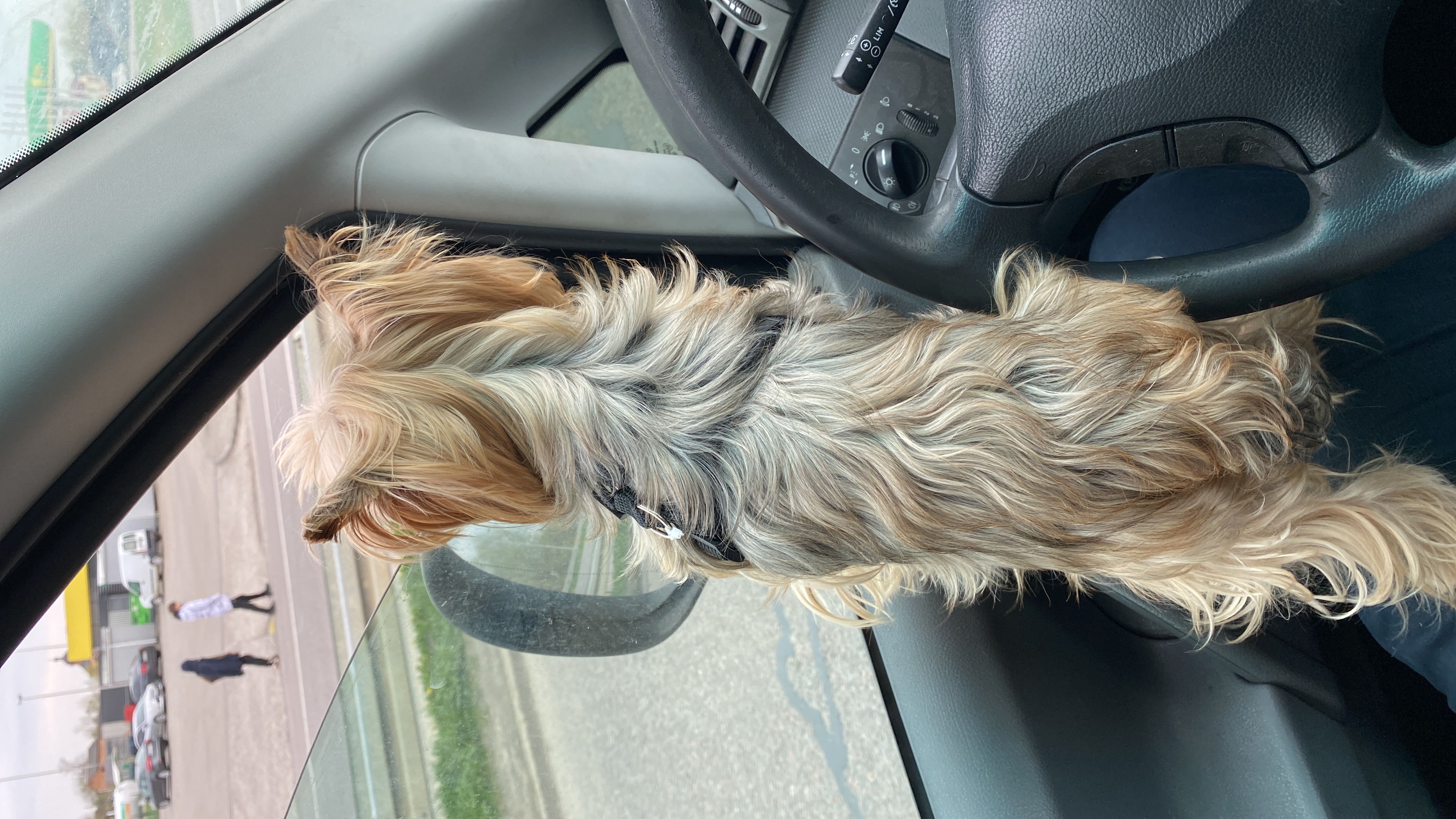 The sixth journey - 1